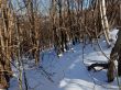 20180213-b-sangiacomo-318.jpg