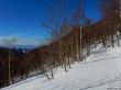 20180213-b-sangiacomo-365.jpg