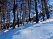20180213-b-sangiacomo-374.jpg