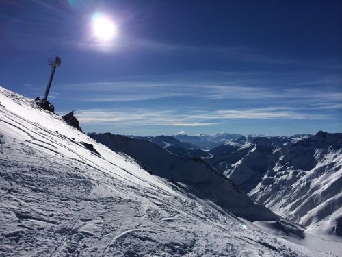 29. Januar 2014
