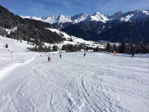 29. Januar 2014
