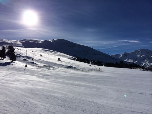 29. Januar 2014
