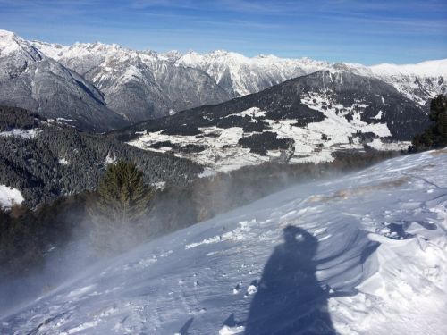 29. Januar 2014
