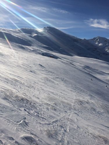 29. Januar 2014

