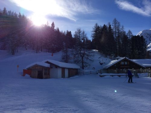 29. Januar 2014
