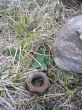 20060817-stmarys-170242.jpg