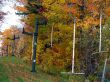 200410-vermont-523.jpg