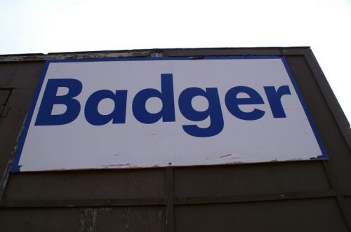 Badger, Oktober 2007
