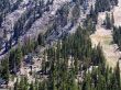 20060815-tahoe30.jpg