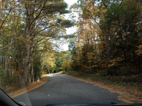 Wir erkunden Nebenstrassen im Gebiet rund um den Upper Bungee Lake auf der Suche nach [url=http://www.nelsap.org/ct/ohoho.html]dieser Anlage, die auf nelsap.org vorgestellt wird[/url]. Zufällig haben wir ganz in der Nähe übernachtet.
