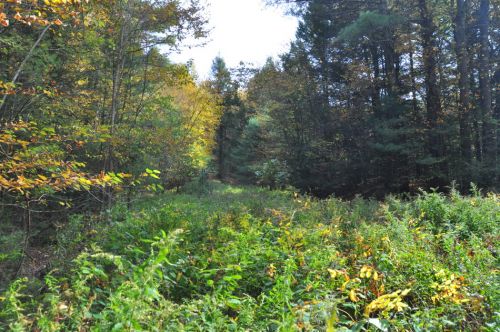 Eine weitere Piste
