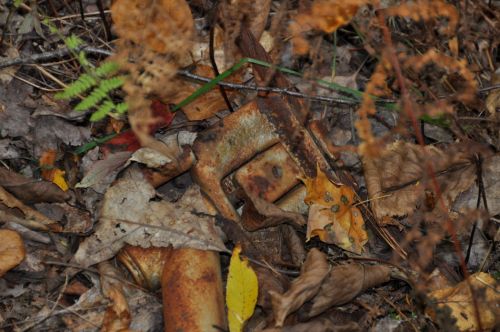 11. Oktober 2013
