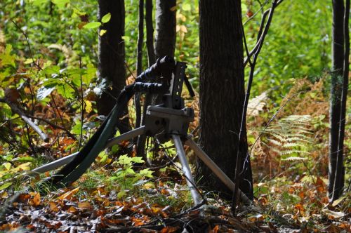 11. Oktober 2013
