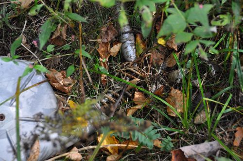 11. Oktober 2013
