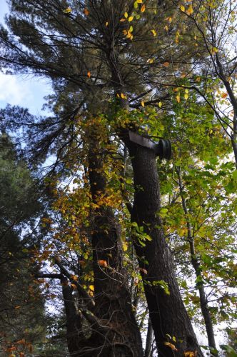 11. Oktober 2013

