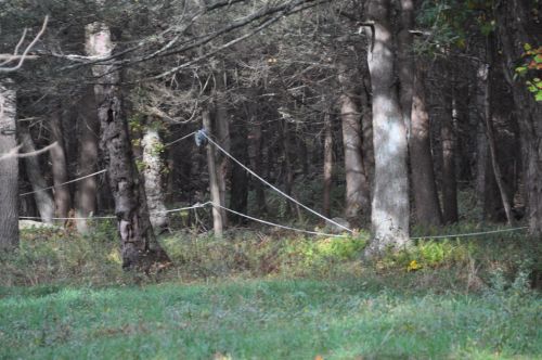 Alte Rope Tows
