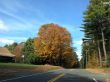 20131011-b-woodstock-0276.jpg