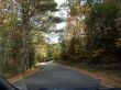 20131011-b-woodstock-0277.jpg