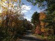 20131011-b-woodstock-0282.jpg