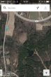 20131011-b-woodstock-0296b.png