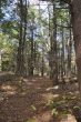 20131011-b-woodstock-0302.jpg