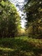 20131011-b-woodstock-0305.jpg