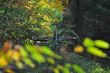20131011-b-woodstock-0306.jpg
