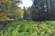 20131011-b-woodstock-0307.jpg