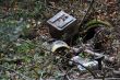 20131011-b-woodstock-0311.jpg