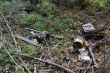 20131011-b-woodstock-0312.jpg