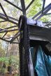 20131011-b-woodstock-0331.jpg
