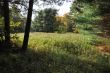 20131011-b-woodstock-0350.jpg
