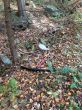 20131011-b-woodstock-0354.jpg