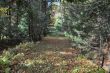 20131011-b-woodstock-0367.jpg