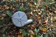 20131011-b-woodstock-0371.jpg