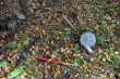 20131011-b-woodstock-0372.jpg