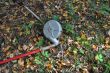 20131011-b-woodstock-0380.jpg