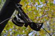 20131011-b-woodstock-0386.jpg