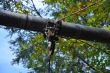 20131011-b-woodstock-0394.jpg