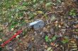 20131011-b-woodstock-0405.jpg