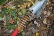 20131011-b-woodstock-0409.jpg