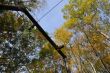 20131011-b-woodstock-0417.jpg