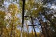 20131011-b-woodstock-0428.jpg