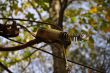 20131011-b-woodstock-0431.jpg