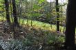 20131011-b-woodstock-0436.jpg