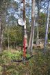 20131011-b-woodstock-0456.jpg