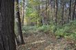 20131011-b-woodstock-0457.jpg
