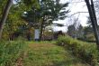 20131011-b-woodstock-0469.jpg