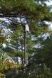 20131011-b-woodstock-0471.jpg