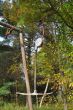 20131011-b-woodstock-0475.jpg